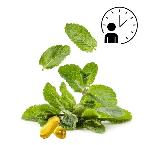 The Best Time to Take Peppermint Oil Capsules and Why Other Herbs May Work Even Better