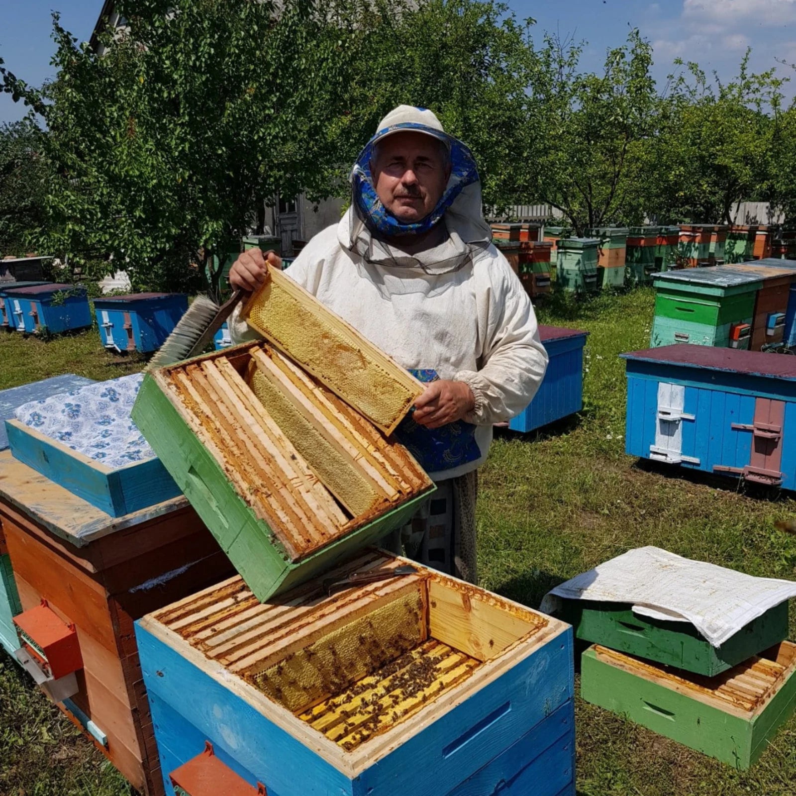 Raw Wildflower Honey Natural Energy, Immunity & Wellness Benefits