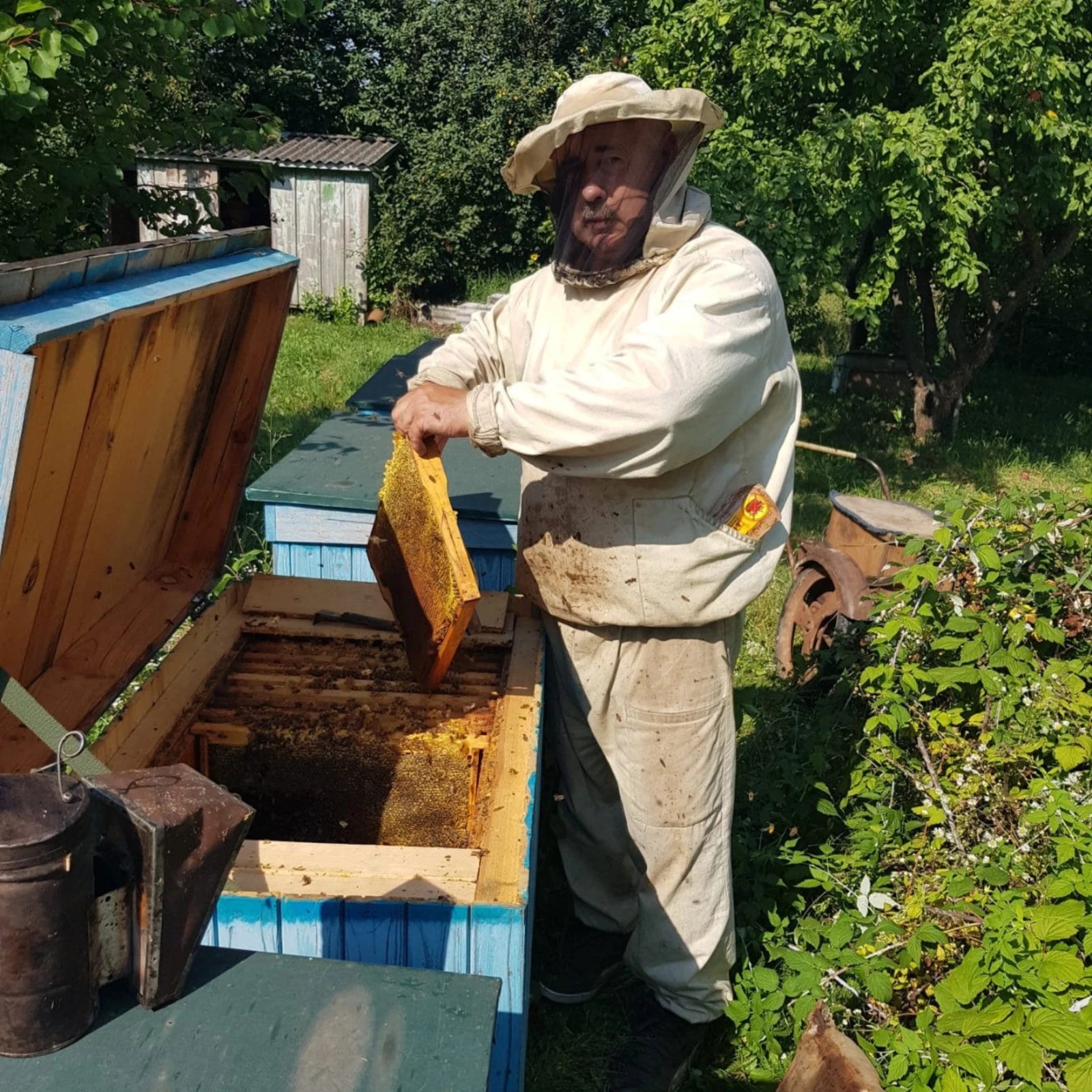 Raw Wildflower Honey Natural Energy, Immunity & Wellness Benefits